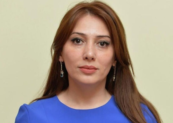 Lənkəran icra başçısının müavinindən işdən çıxarılmasına REAKSİYA - "Dövlətimə nə deyim?"