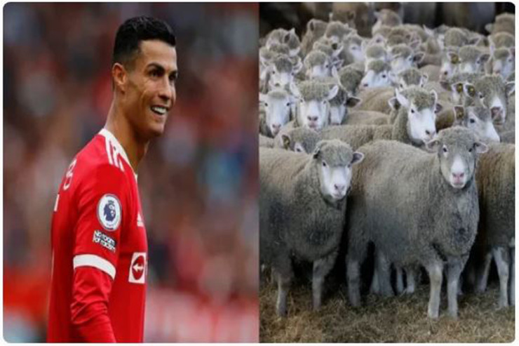 "20 qoyun təklif etmişik, klubdan cavab gözləyirik" - Ronaldonu LAĞA QOYDULAR