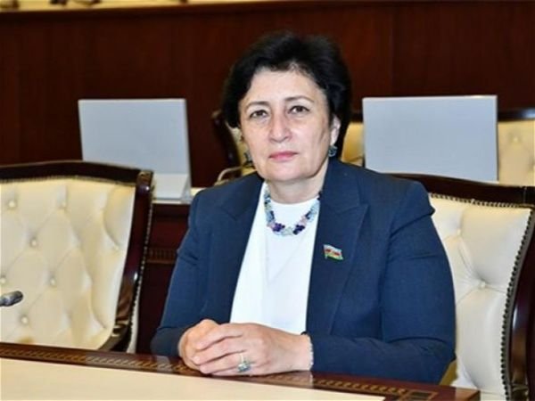 Deputat: ““Göyçə-Zəngəzur Respublikası” adlı bir təsisatı rədd edirəm, İlham Əliyevin siyasətini dəstəkləyən heç vaxt belə hərəkət etməz”