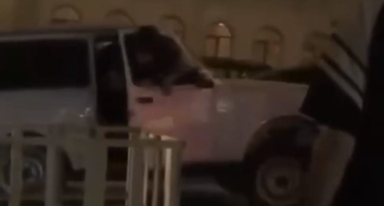 Bakıda gərgin anlar: "Niva" sürücüsü polisə tabe olmadı - VİDEO