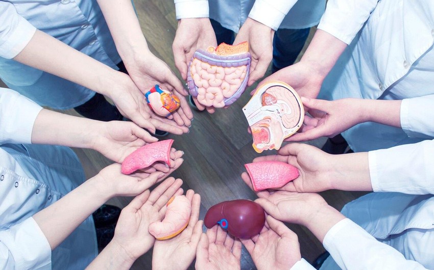 “Orqan Donorluğu və Transplantasiyası üzrə Koordinasiya Mərkəzi” yaradılıb