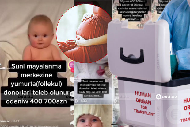Azərbaycanda 800 manata orqan satışı: Qadınlar dönüşü olmayan təhlükə ilə üz-üzədirlər - ARAŞDIRMA