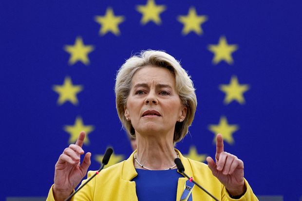 Azərbaycan kritik anda bizə kömək etdi - Leyen