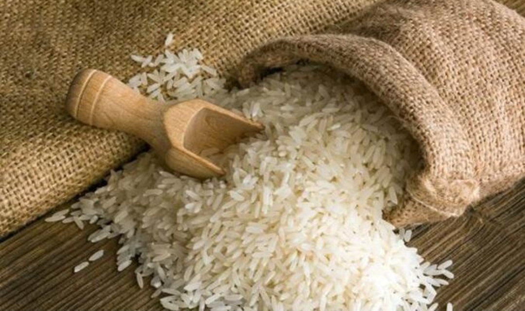Müəllifi Çin olan plastik düyülərin bazar qiyməti normal düyüdən bahadır – Mütəxəssislər danışdı