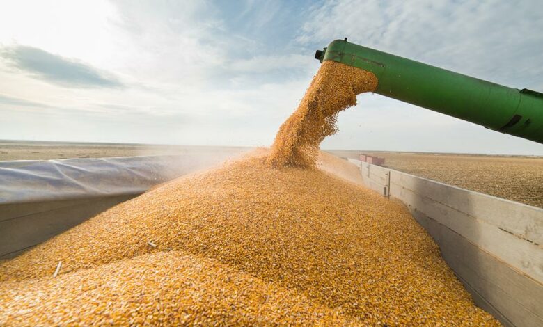 Taxıl böhranı bir aya həll olunmasa…