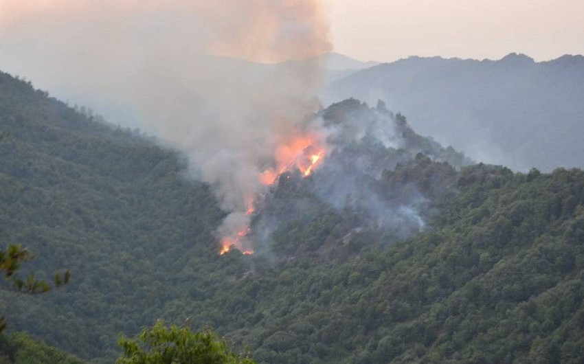 ETSN ermənilərin Laçın və Xocalı meşələrini yandırmasını pisləyib
