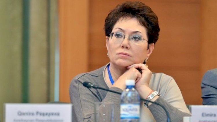 Elmira Axundova Kiyevdə deyil: Səfirliyə kim rəhbərlik edir?