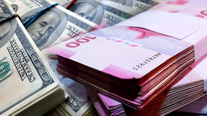 Bir şəxs bir gündə nə qədər dollar dəyişə bilər? - RƏSMİ CAVAB /VİDEO 