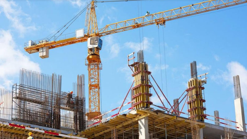 Bakıda “yaşıl soyqırım” – “İnvest.M Construction”la bağlı faktlar prokurorluğa göndərildi (FOTOLAR)