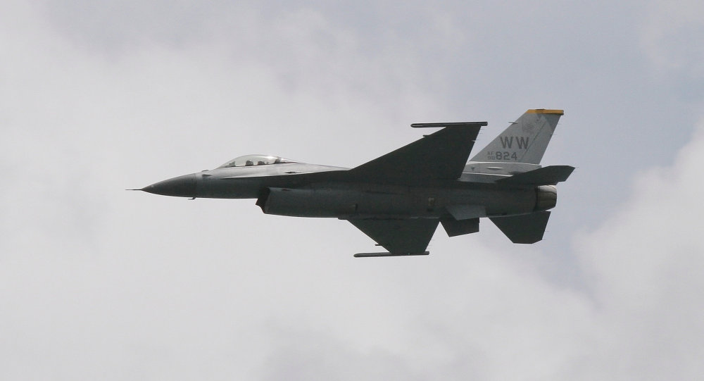 Bizim daha çox F-16-ya ehtiyacımız var - İqnat