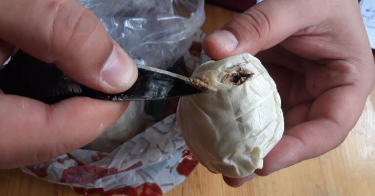 Motosiklet qaçıran şəxs saxlanıldı, üzərində heroin aşkarlandı