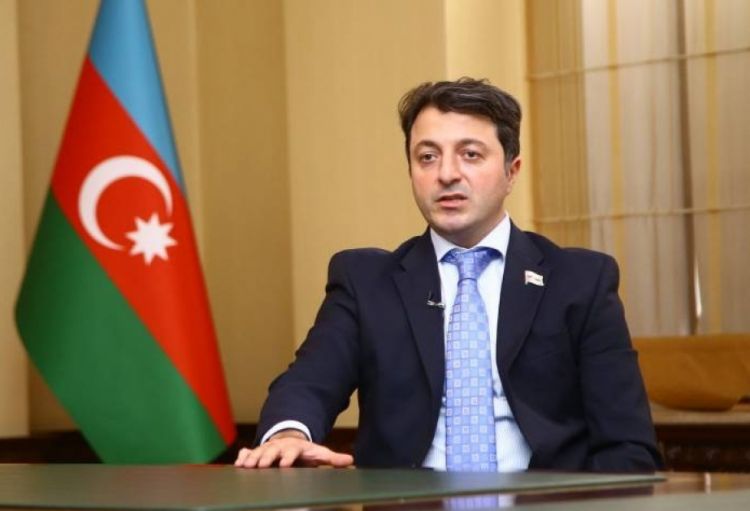 Azərbaycan-Kanada işçi qrupunun sədri vəzifəsindən getdi
