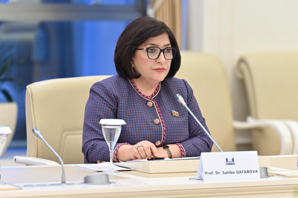 Sahibə Qafarova: AŞPA-da baş verən son proseslər ölkəmizə qarşı yalan kampaniyasının tərkib hissəsidir