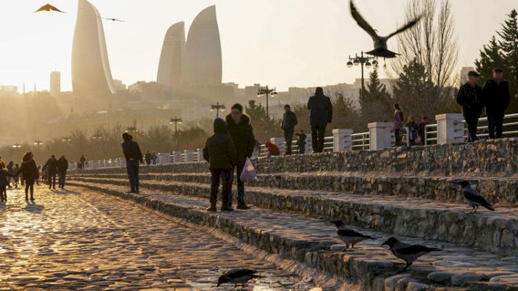 Bakıda qeydiyyata düşmək üçün elanlar... 