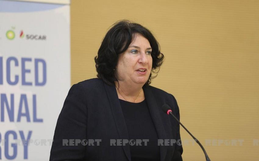 "Ukrayna və Gürcüstana olar, Azərbaycana yox?” - Brenda Şaffer