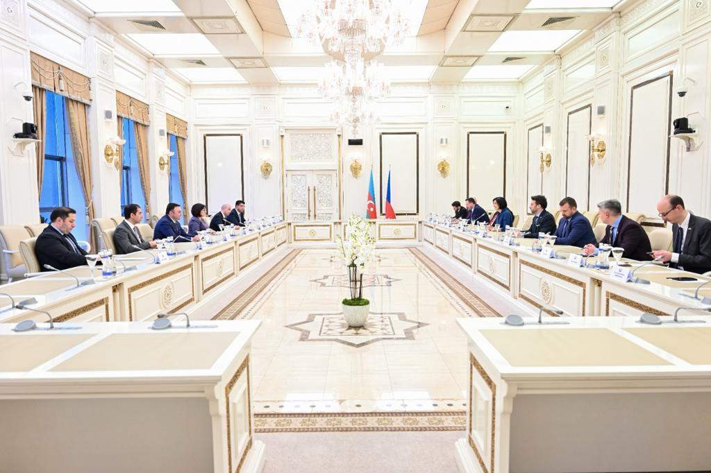 Sahibə Qafarova Çexiya parlament rəsmisi ilə vacib müzakirələr aparıb 