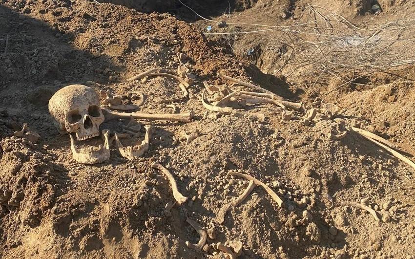 Qubadlı və Zəngilanda insan meyitinin qalıqları aşkarlanıb