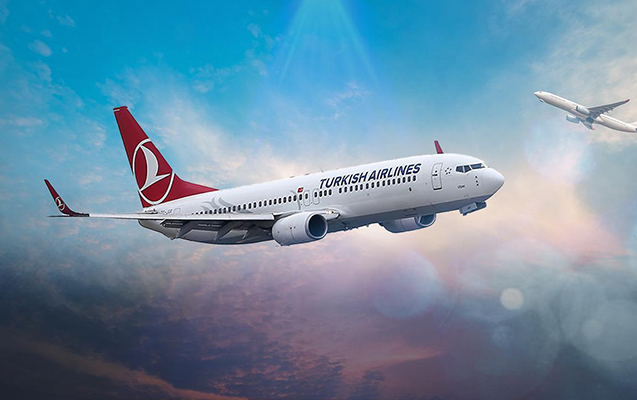 Türk Hava Yolları uçuşları ləğv etdi - SƏBƏB