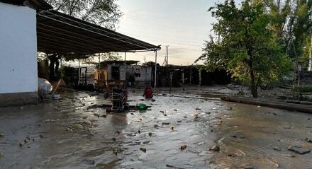 Zaqatalada leysan fəsadlar törətdi - Foto