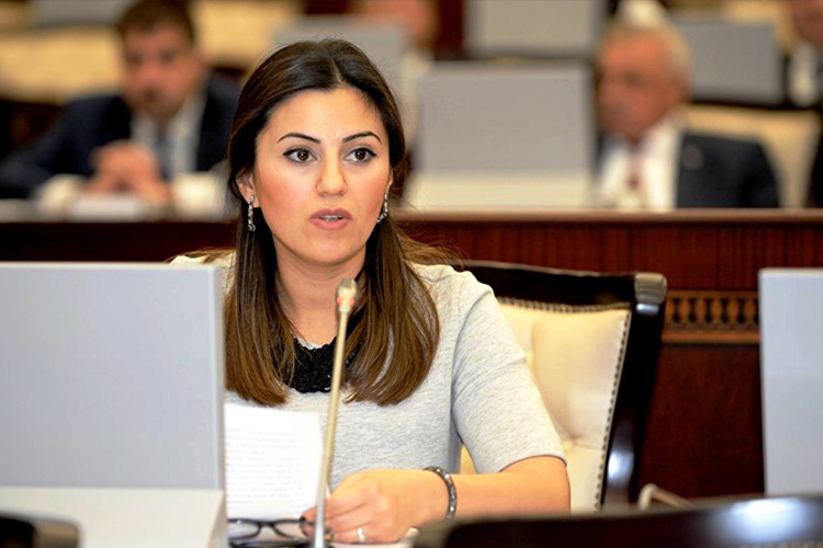 Deputatın demədiklərini kim və niyə yayıb - cinayət əməli, yoxsa...
