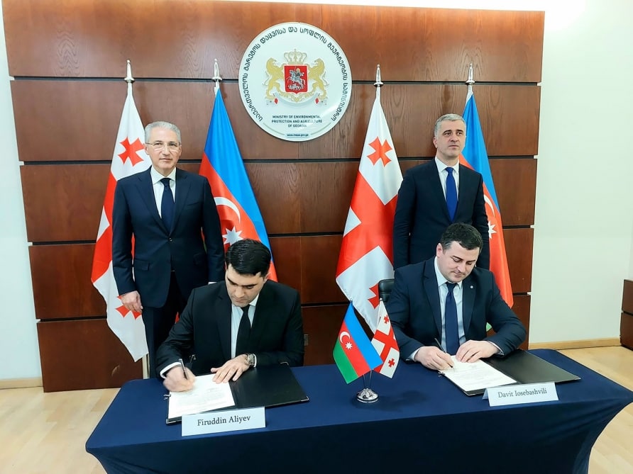 Azərbaycanla Gürcüstan arasında memorandum imzalandı