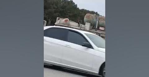 Kürdəxanıda COP 29 çərçivəsində salınan yaşıllığı COP-dan 1 gün sonra məhv etdilər - VİDEO
