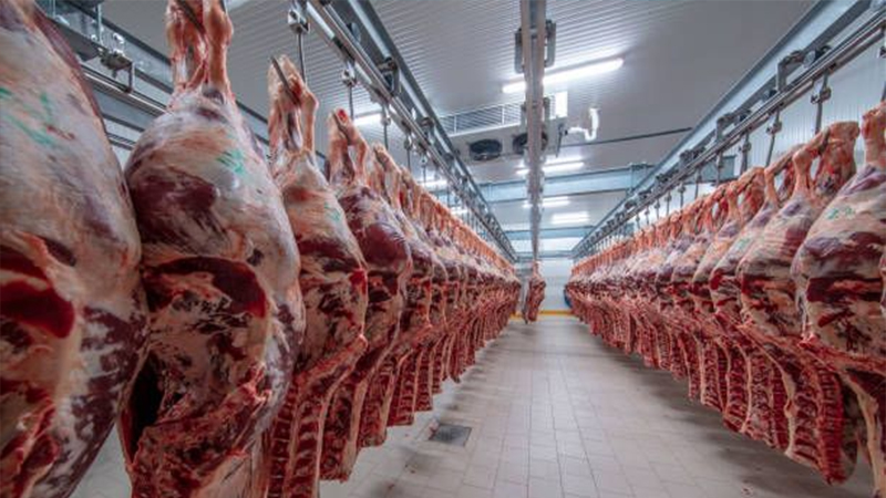 Ötən il ət idxalına 130 milyon dollar xərclənib - 40 milyonluq artım