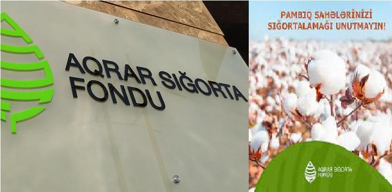 “AQRAR SIĞORTA”-nın “İKİLİ STANDARTLARI” - Ağdamlı fermerlər nədən şikayətçidirlər?