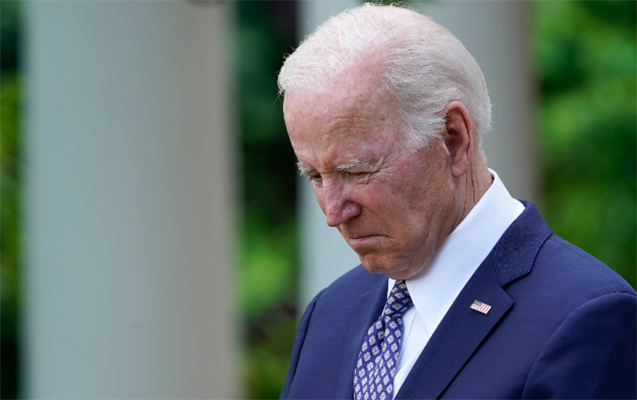 Yanğınlara görə İtaliyaya səfərini təxirə saldı