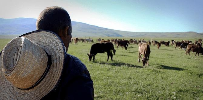 Tovuzda spirtli içki qəbul edən çoban boğulub öldü