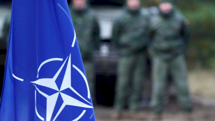 NATO polkovniki: “Azərbaycan bizim güclü tərəfdaşımızdır”