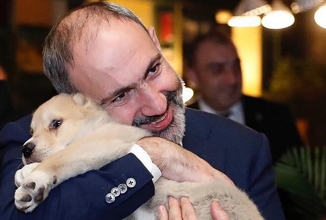 Paşinyan Rusiyaya arxa çevirəcəkmi? - "Qərbdən daha çox lobbinin maraqlarına oynayır"