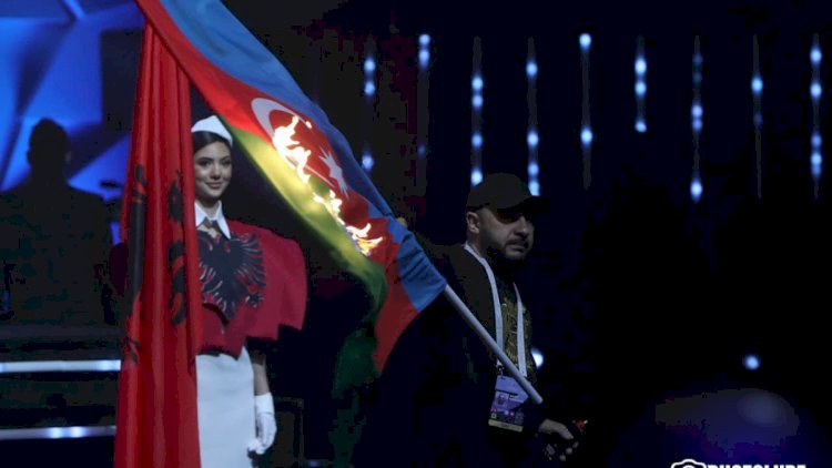 Azərbaycan bayrağının yandırılmasına görə Ermənistanı bu cəza gözləyir