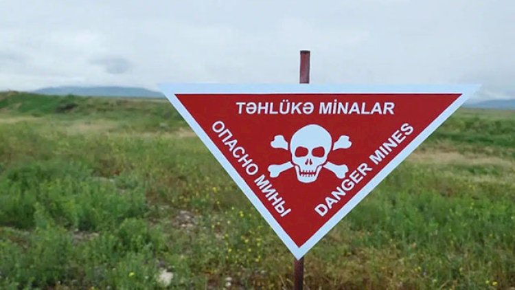 Ermənistanın mina cinayəti - Video