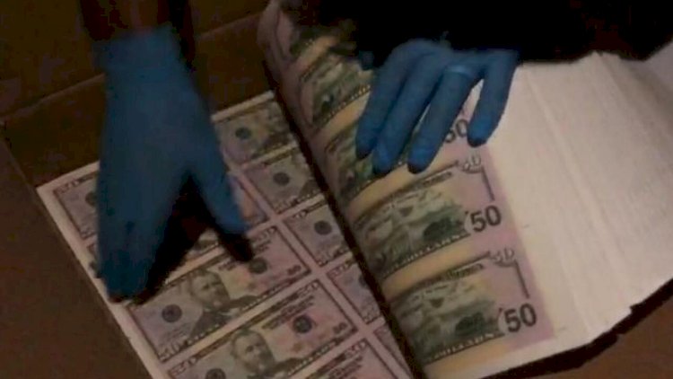 Elmira Abdullayeva mafiya üçün 50 milyard saxta dollar daşıyıb