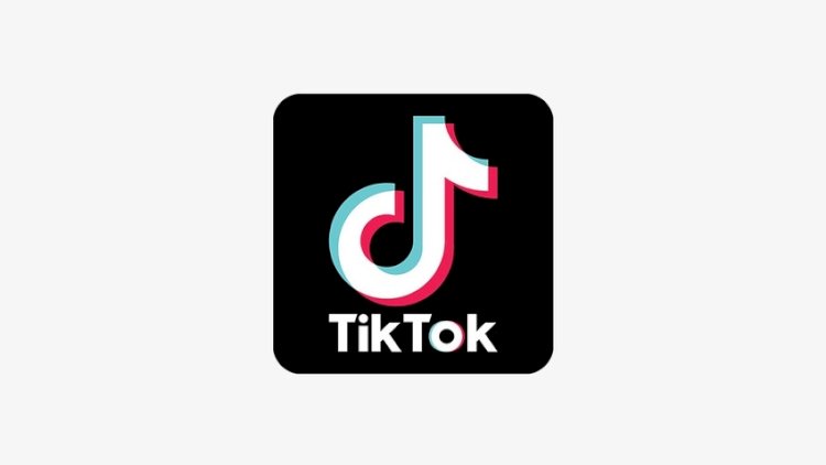 Bu ölkədə deputatlara “TikTok”dan istifadə qadağan edildi 