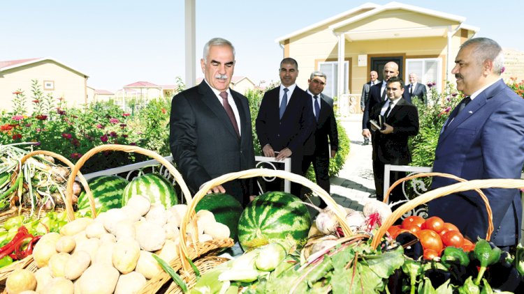 Vasif Talıbovun kələm, kartof, soğan tələbi ləğv olunub