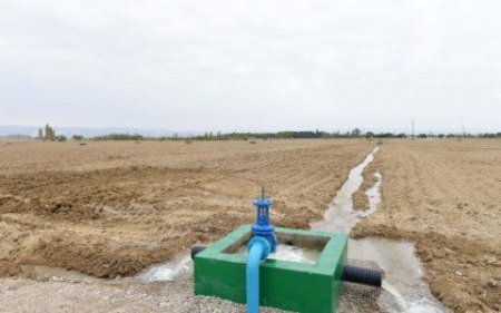 Fermerlər QAN AĞLAYIR... Mikayılov İCLAS KEÇİRİR... - ACINACAQLI MƏNZƏRƏ...