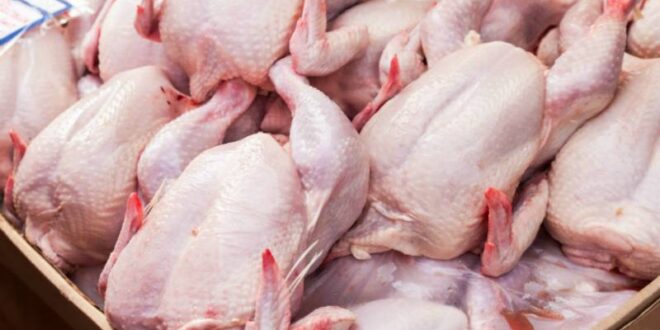 Bakıda 3 ədədi 9 manata satılan toyuqlar haradan gətirilir? – AÇIQLAMA