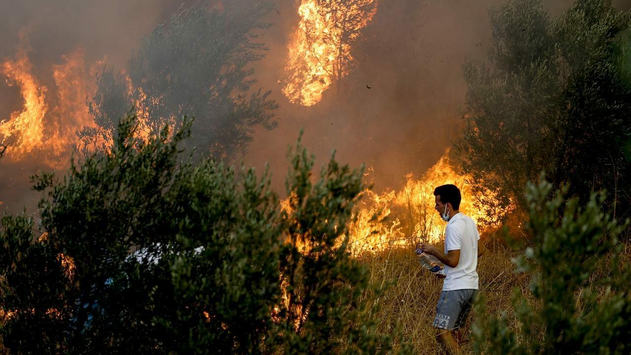 Türkiyədə meşə yanğını başladı
