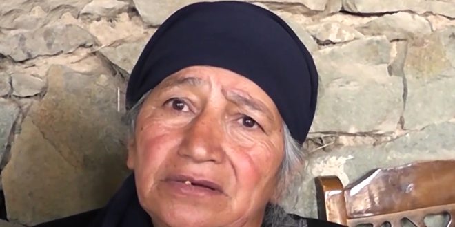 Kartof almağa gedən qayınana: “Gəldim gördüm ki, gəlini öldürüb” 