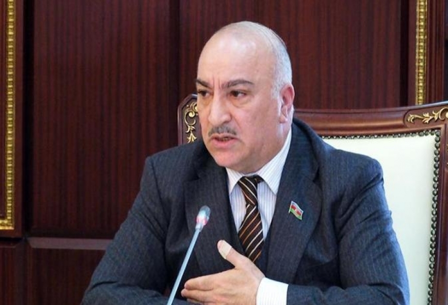 "Oğrular da sanki pul qazanmaq üçün yeni yollar axtarırlar..." - deputat