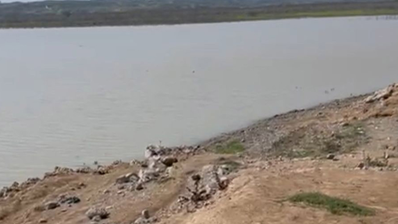 Mövsümü olmasa da, burada kütləvi balıq ovlanır (VİDEO)