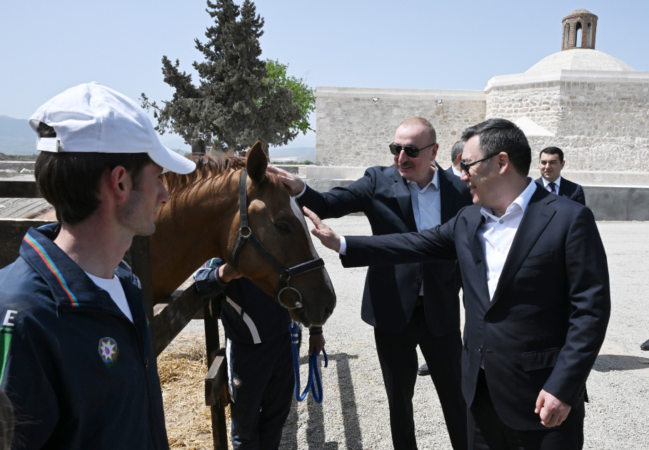 İlham Əliyev Qırğızıstan Prezidentinə Qarabağ atı hədiyyə etdi - FOTOLAR