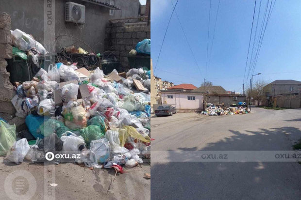 Zabrat-1 qəsəbəsində zibillər niyə daşınmır? - FOTO