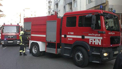 Taxta bazarına nə qədər ziyan dəyib?