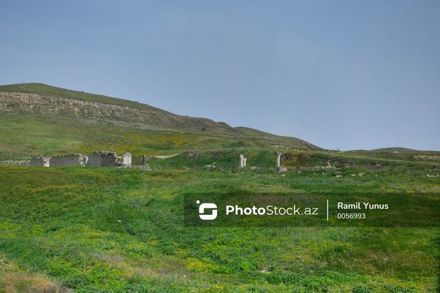 “Azərbaycanda varlıların işğal etdikləri torpaqlar var”: Komitə sədrindən AÇIQLAMA - FOTO