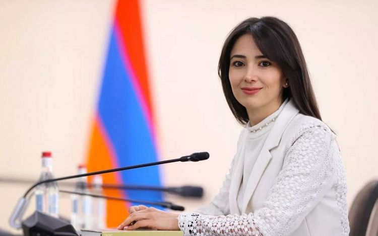 "İrəvan Azərbaycanın sülh müqaviləsi ilə bağlı təkliflərinə cavab verib"