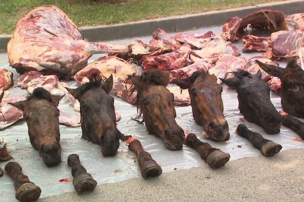 Ölü at, eşşək əti satanların sayı artıb: Görün bu ətlər harada istifadə olunur